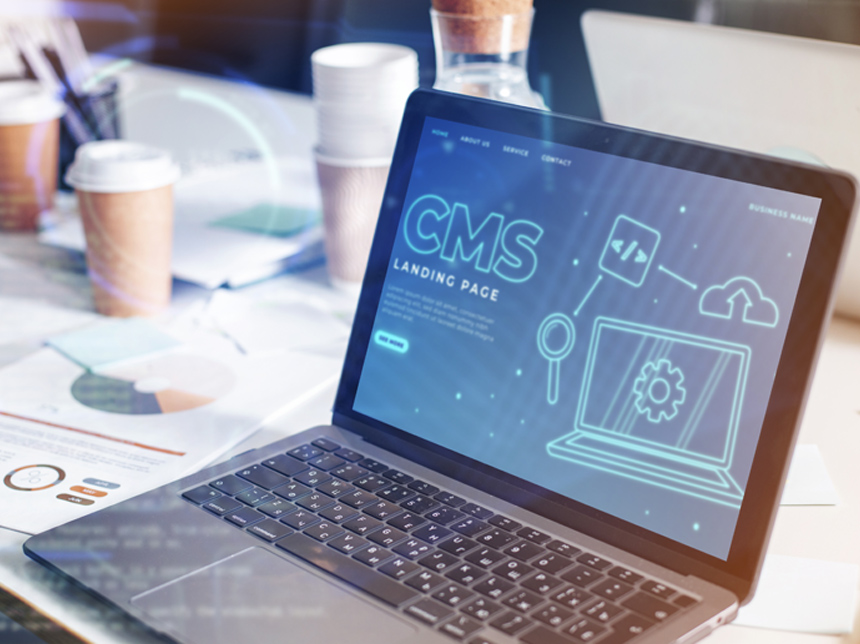 CMS Website Development